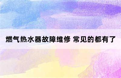 燃气热水器故障维修 常见的都有了